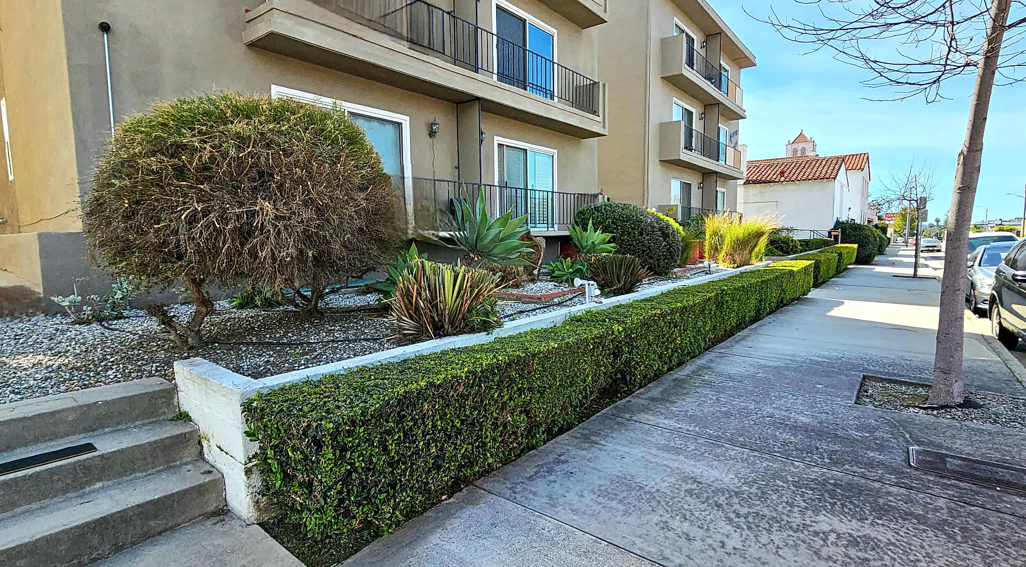 Commercial landscape maintenance project