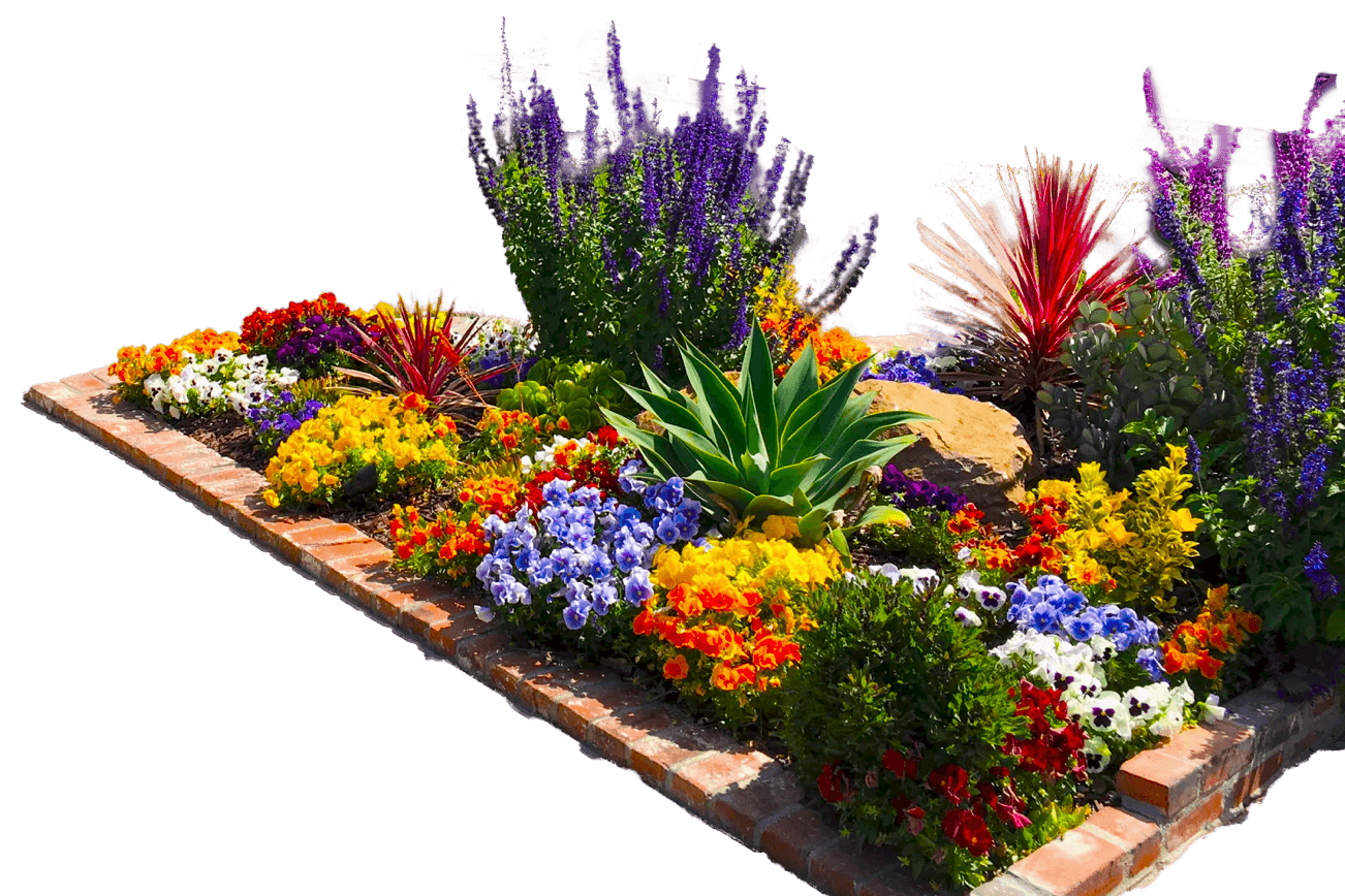 Flower planting for commercial landscaping
