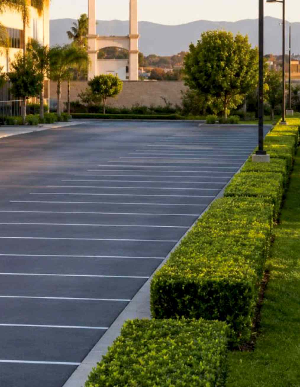 Diaz Lawn Care landscape cleanup project