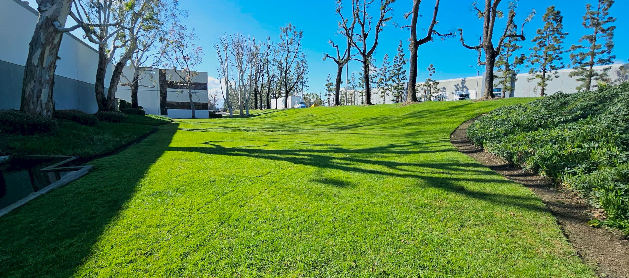 Commercial lawn care project in the Inland Empire