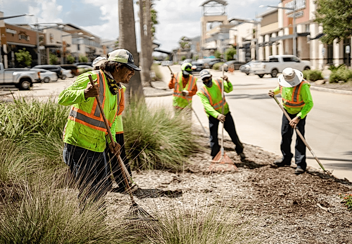 Commercial landscape maintenance crew leader