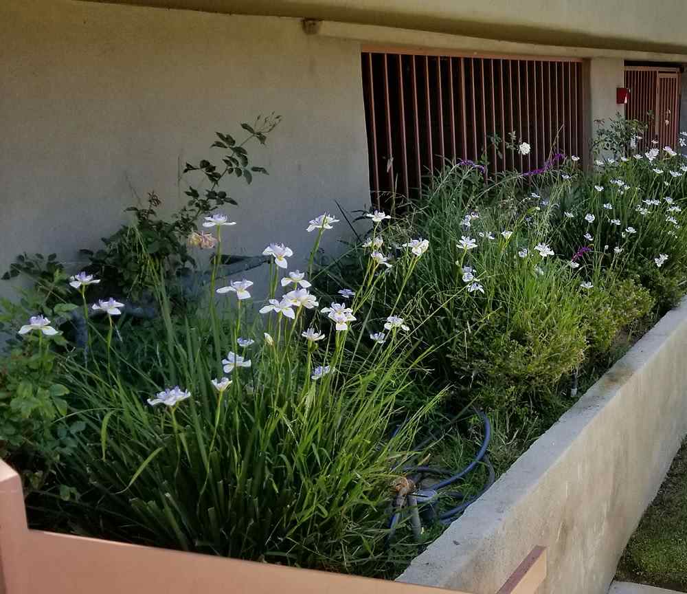 Sprinkler system maintenance project